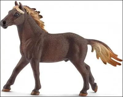 Ce cheval est un :