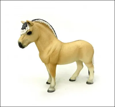 Et ce poney est un :