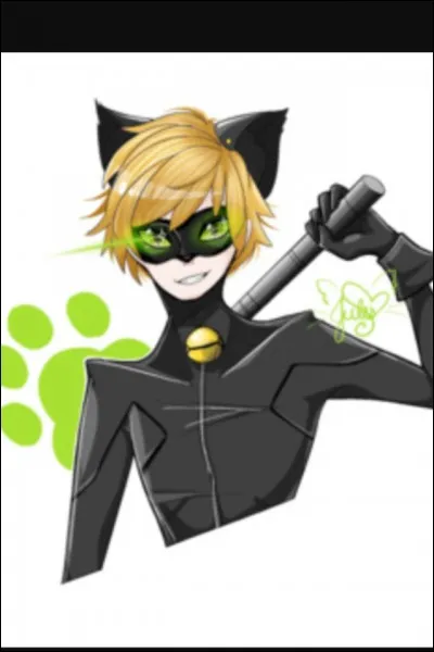 Que penses-tu de Chat Noir ?