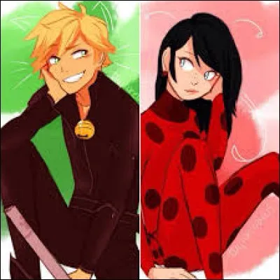 La relation entre les deux héros se développera les rendant :