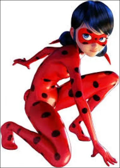 Qui aime Ladybug ?