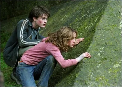 Dans "Harry Potter et le prisonnier d'Azkaban" que fait Hermione pour sauver la vie de Harry ?