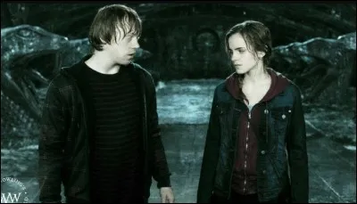 Dans "Harry Potter et les Reliques de la mort, partie 2" qui détruit l'Horcruxe avec une dent du basilic ?