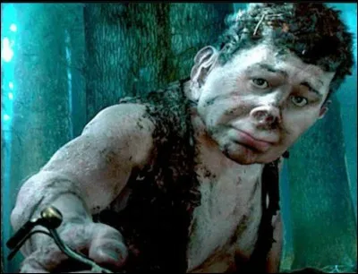 Dans "Harry Potter et l'Ordre du Phénix" qui se fait attraper par le demi-frère de Hagrid, et comment s'appelle le géant ?