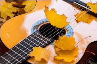 En 2010, Jean-Paul Albert a créé avec sa guitare une musique. À quoi sert-elle ?