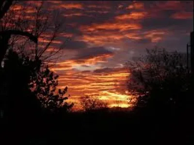 Qui est l'auteur du livre "Nuit d'automne à Paris", publié en 2002 ?