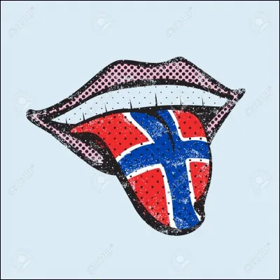 Quelle langue parle-t-on en Norvège ?