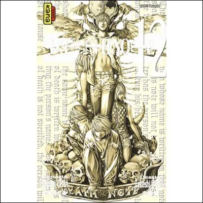 Quel est le dernier dessin du tome 12 ?