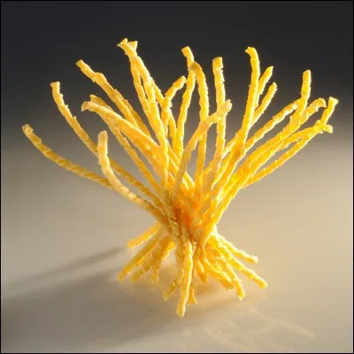 Quelle est cette variété de pâtes ?