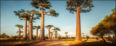 Quelle est la capitale de Madagascar ?