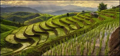 Quelle est la capitale de la Thaïlande ?