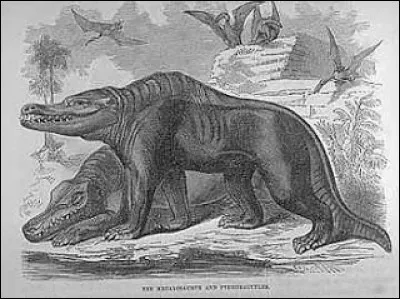 Est-ce que cette créature a pu exister ?