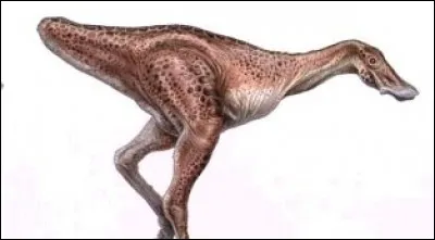 Est-ce que cette créature a pu exister ?