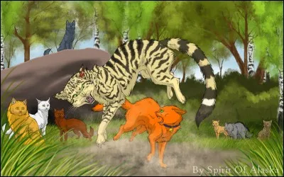 Arrivé au clan, quel chat défie Rusty au combat ?