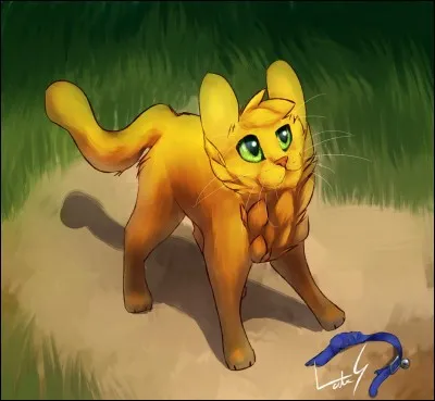 Quel est son nouveau nom ?