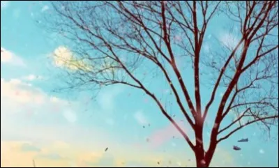 Quel est le nom de ce MV ?