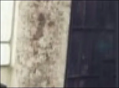 Quel est le nom de ce MV ?