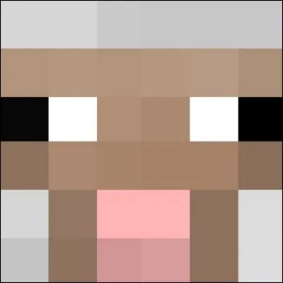 Si on nomme un mouton " jeb_".Que se passe-t-il ?