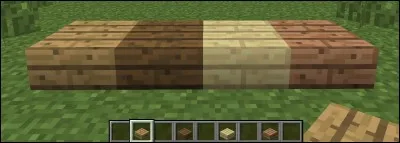 Minecraft a failli ajouter...