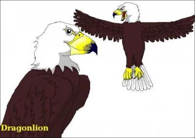 Quels sont ces animaux ?