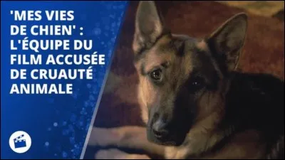 Quel est le métier de son maître ? (3e vie)