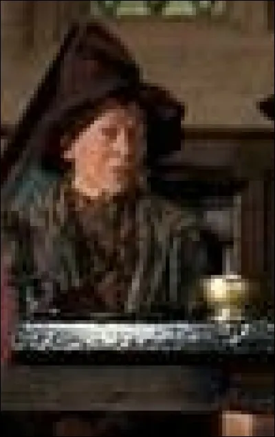 Quel professeur a déjà remplacé Hagrid pour le cours de soins aux créatures magiques ?