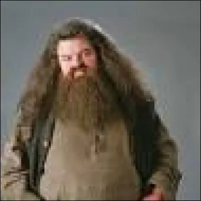 Lors de quelle année d'étude d'Harry à Poudlard Hagrid est-il devenu professeur de soins aux créatures magiques ?
