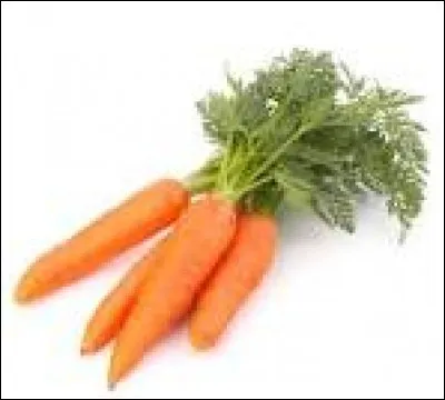 Les carottes contiennent de la vitamine A utile pour lutter contre une maladie. Laquelle ?