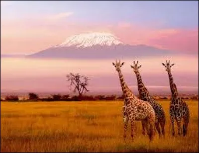 Quelle est la capitale du Soudan du Sud ?