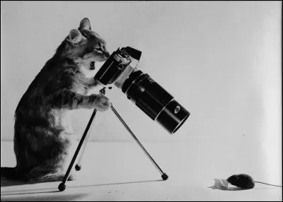 En quelle année a été prise la première photographie ?