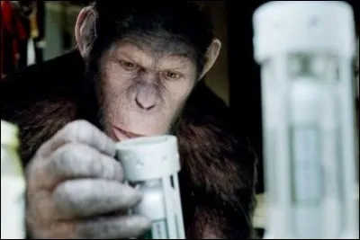 Dans "La Planète des Singes", quel est le jeu qui permet aux scientifiques de tester l'efficacité du rétrovirus ALZ-112 sur des singes ?