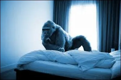 Qui a chanté "Je suis un homme" en 2009 ?