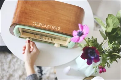 "A.bsolument" est une entreprise spécialisée dans la modernisation d'anciens postes de radio. Née en 2011, la marque se positionne aujourd'hui en tant qu'expert de l'installation de nouvelles technologies dans d'authentiques radios vintages. De quelle nationalité est-elle ?