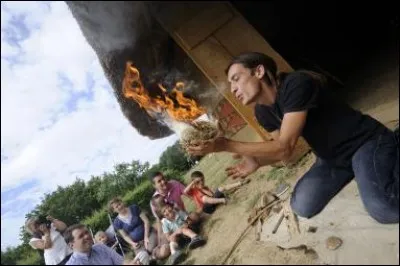 Avec quel type de bois fait-on du feu ?