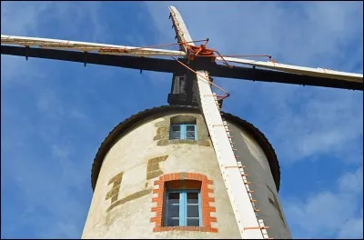 Que fait-on d'une farine quasiment composée que de fibres ?