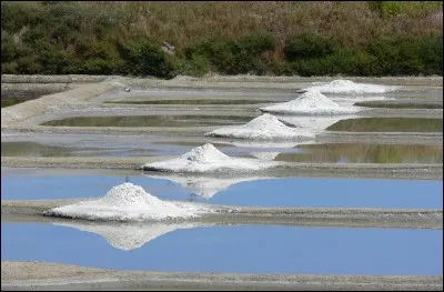 Que récolte-t-on à la surface d'un marai salant ?