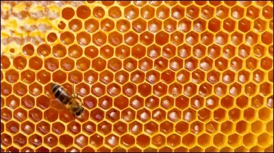 Que doit-on faire avant d'ouvrir une ruche ?