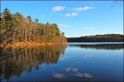 Quel est le nom de l'étang dans lequel Lindsay passait ses vacances ?