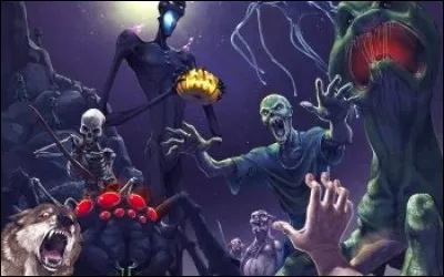 Que ne voyez-vous pas sur cette photo ?