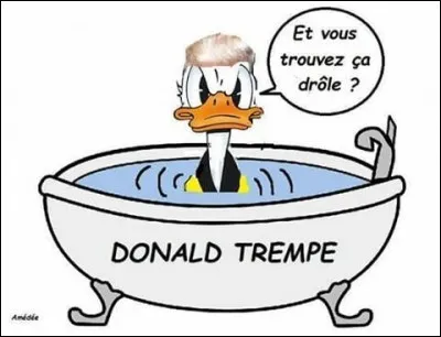 Le jeu de mot est drôle, et la mèche blonde sied bien à Donald Duck. Est-ce Donald ou Mickey le maître du chien Pluto ?