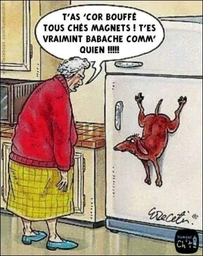 Mais que c'est mignon ! Le toutou a mangé les magnets ! Parlons un peu science, l'aimant c'est quoi ?