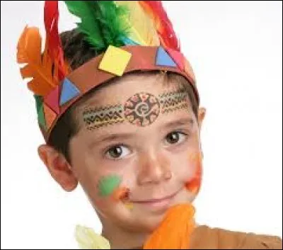 Que trouve-t-on en abondance sur la tête d'un grand chef indien ?