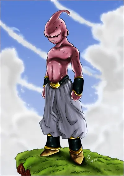 Qui est le plus rapide entre petit Buu et Burta ?