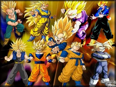 Qui est la personne qui a découvert le Super Saiyan 2 ?