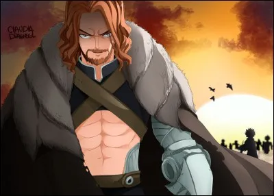 Quelle est la magie de Gildarts ?