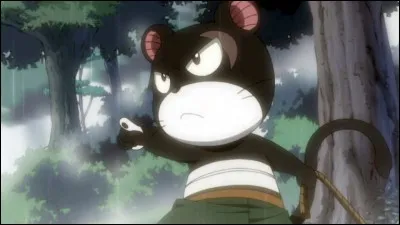 Quel est l'Exceed de Gajil ?