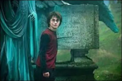 Harry et Cédric Diggory touchent cet objet en même temps. Malheureusement, il se trouve que l'objet est un portoloin. Où sont-ils désormais ?