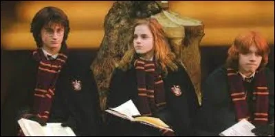 Pourquoi Ron ne parle-t-il plus à Harry pendant un moment ?