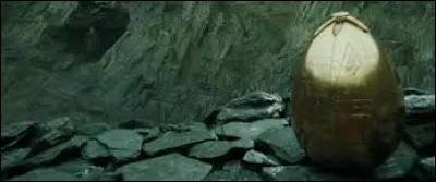 La première épreuve a lieu. Il s'agit d'attraper un œuf d'or en affrontant un dragon. Sur quel dragon Harry tombe-t-il ?
