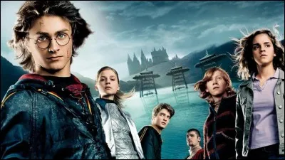 « Harry Potter 4 » - Quel objet magique décide du nom des champions ?